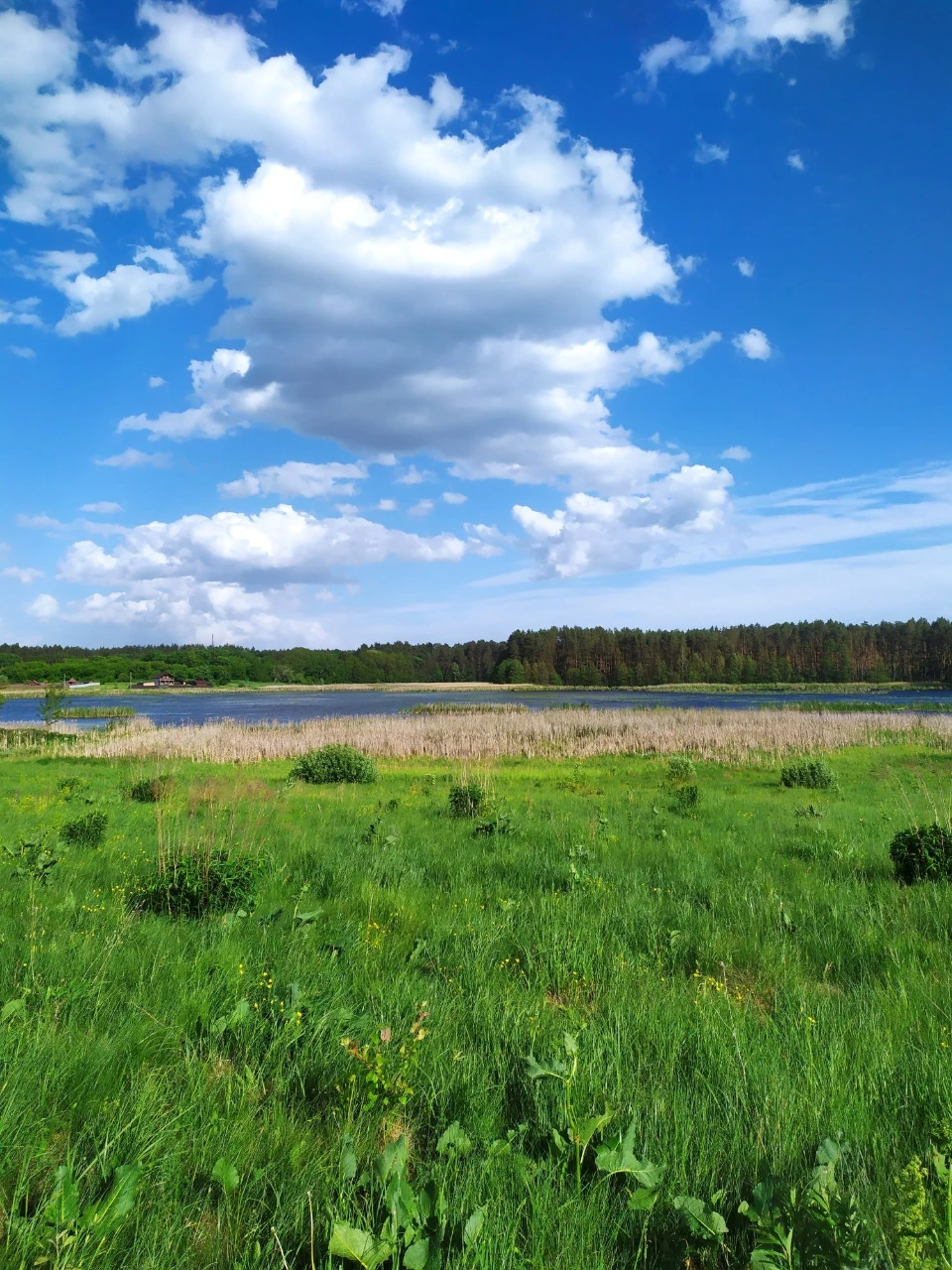 10 соток під забудову на березі р. Мика, 600 метрів від Замк