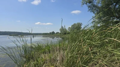 Продаж ділянки 63сот. з видом на озеро та замок Радомисль (Р