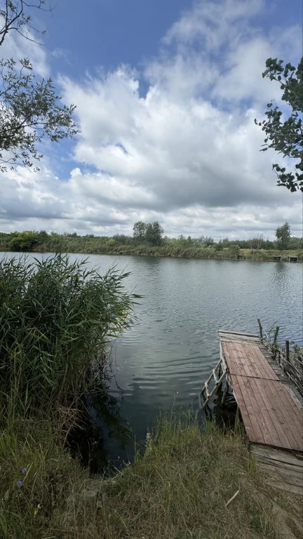 Продається озеро у Берегові