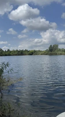 Продається озеро у Берегові