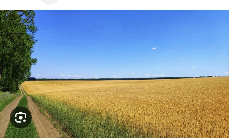 Продам участок 2.5 га Недалеко від Берегово