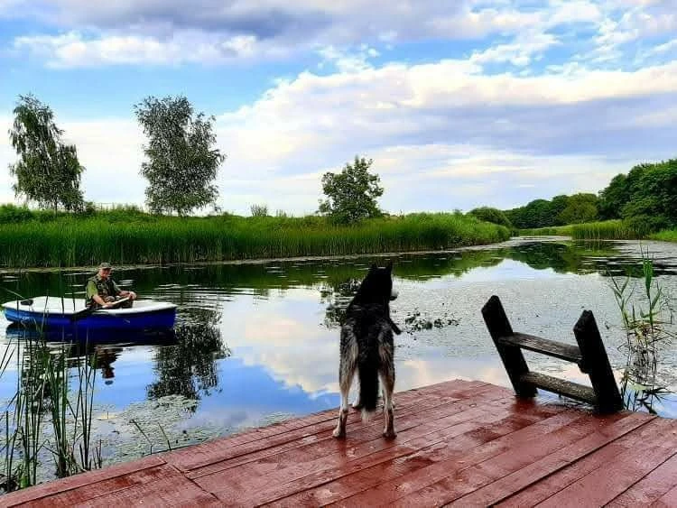 Продається озеро з земельною ділянкою