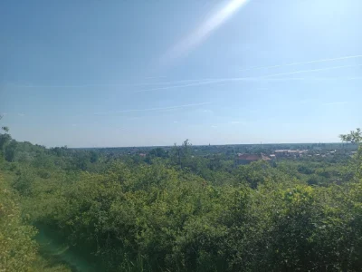 Продається 50 соток землі під забудову садовими будинками  б