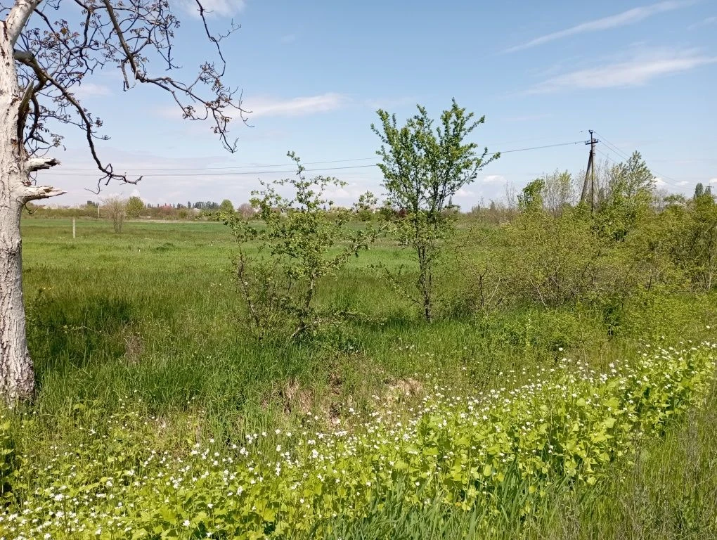 вул. Мочолівська Берегово 9 сотин під забудову