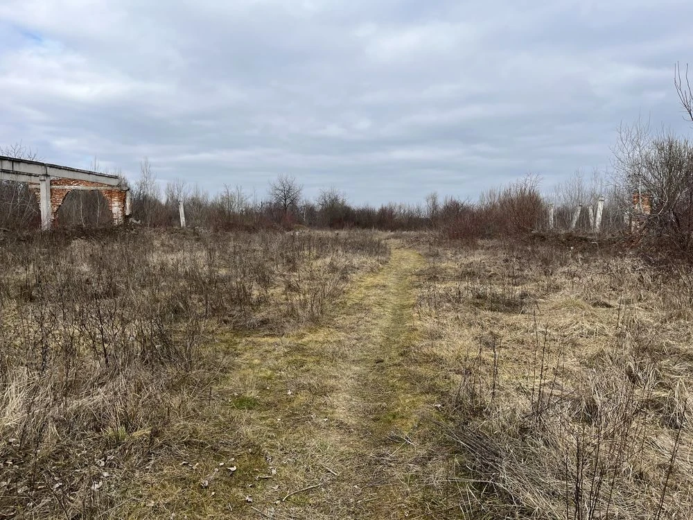 10 сотин під будівництво Берегово