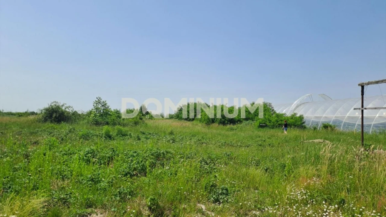 Продаж  земельної ділянки м.Виноградів , вул. Ягідна  9