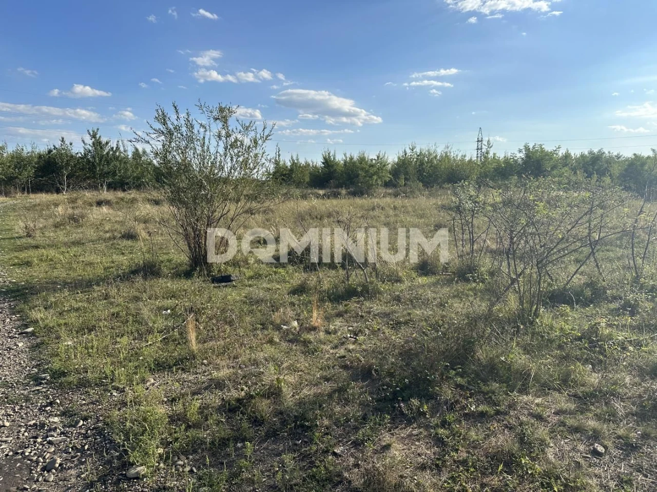 Продаж земельної ділянки у м. Виноградів, вул. Західна