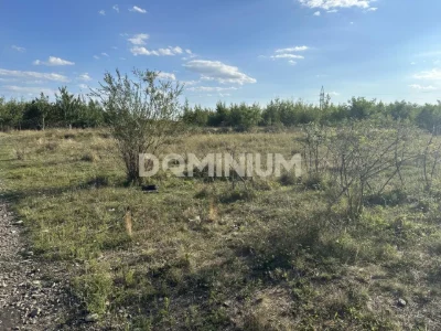 Продаж земельної ділянки у м. Виноградів, вул. Західна