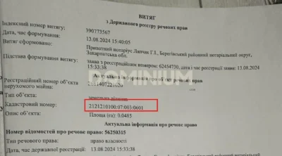Продаж ділянки з фундаментом у м. Виноградів