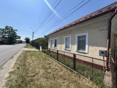 Продається ділянка 53 сот у центральній частині м. Винограді