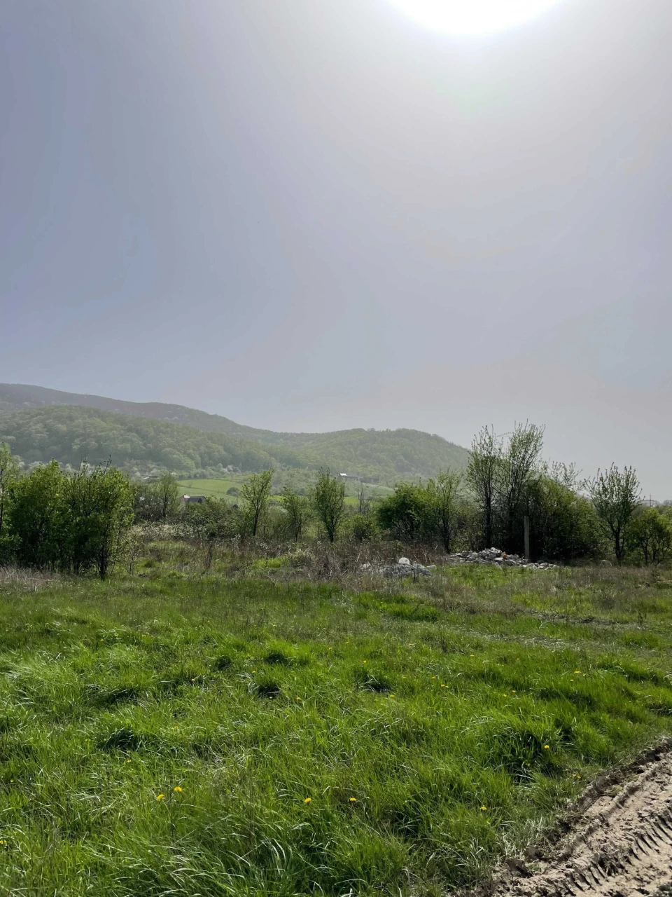 Земля у Виноградові
