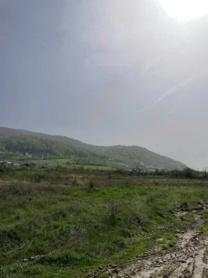 Земля у Виноградові