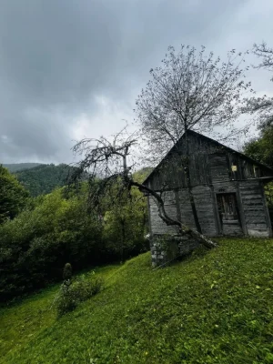 Продаж ділянки в Карпатах | 10 Соток Для Власного Проєкту