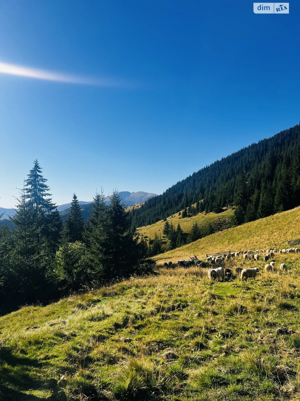 Продаж Ділянка під житлову забудову