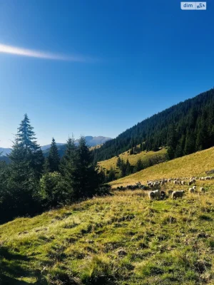 Продаж Ділянка під житлову забудову