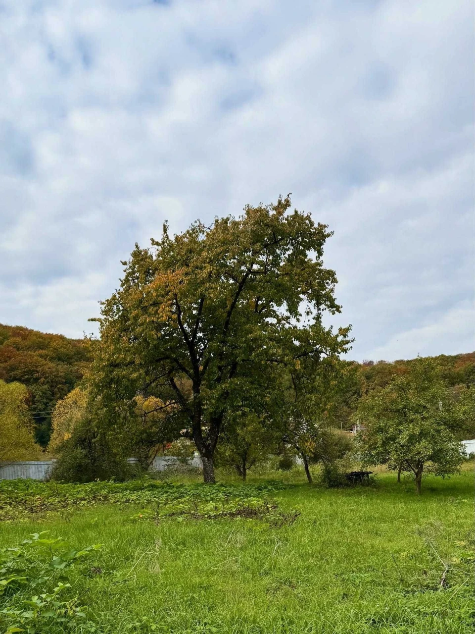 Продається унікальна земельна ділянка