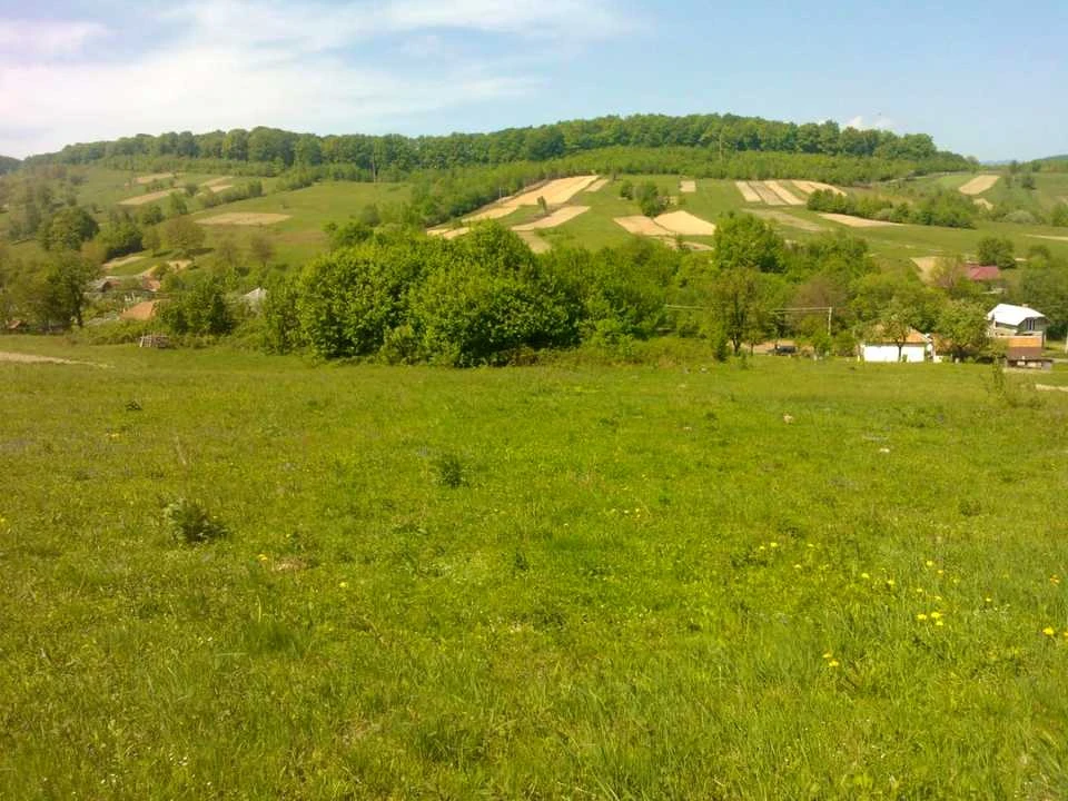 Ділянка. Свалява