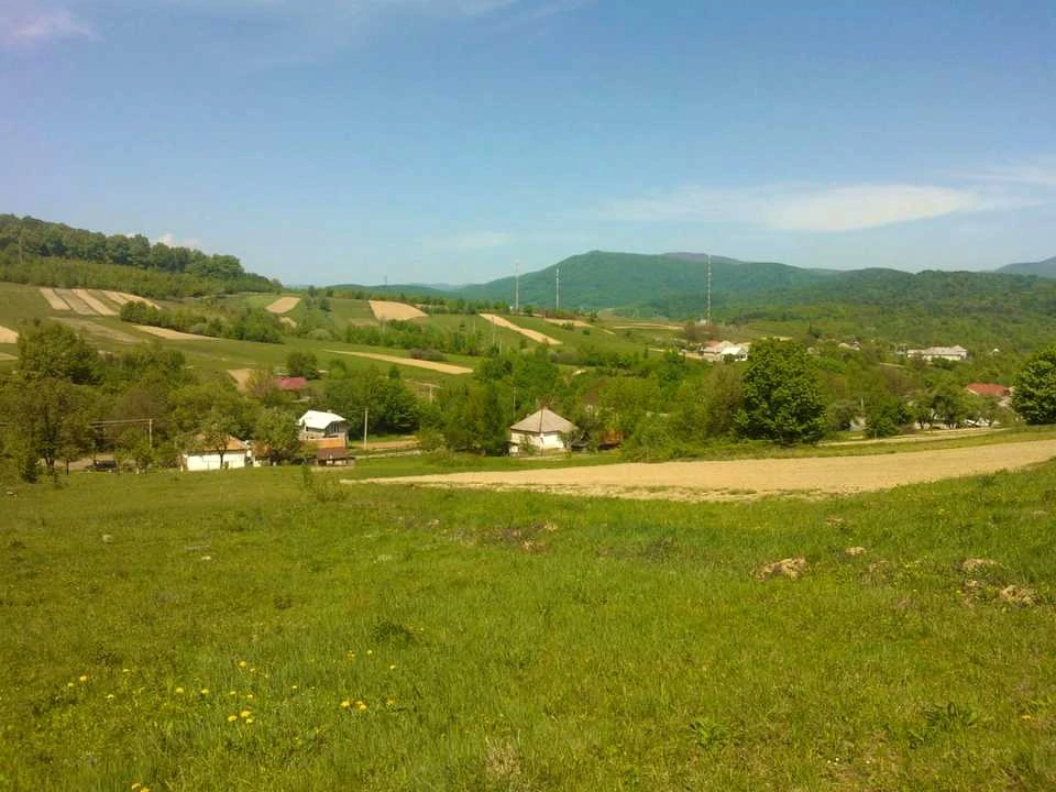 Ділянка. Свалява