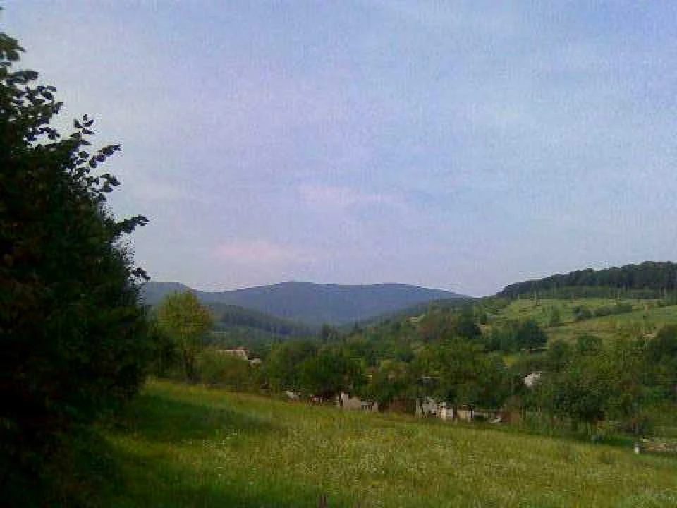 Ділянка. Свалява