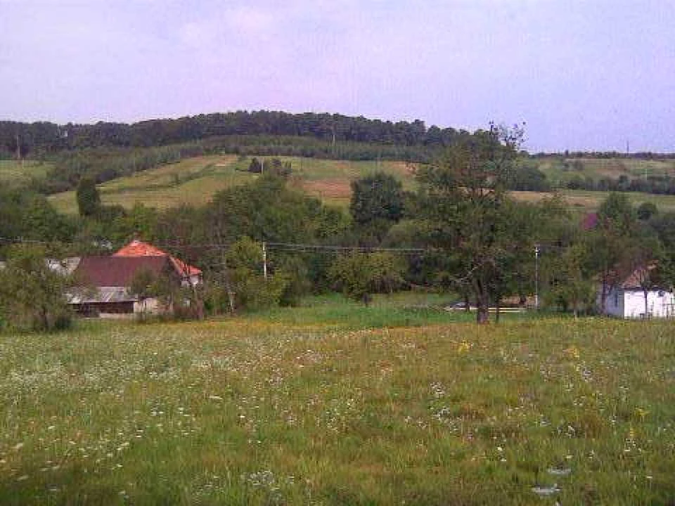 Ділянка. Свалява
