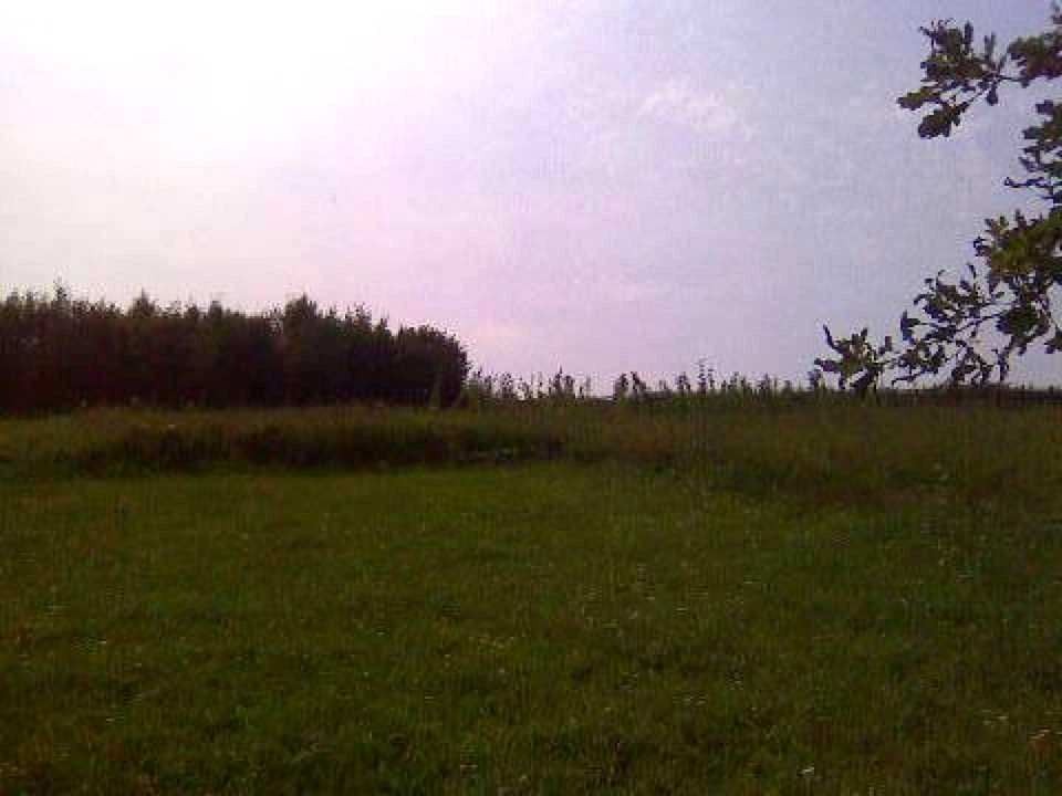Ділянка. Свалява