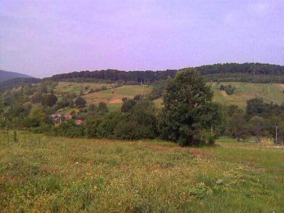 Ділянка. Свалява