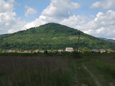 Ціну змінено. Продаю ділянку 1,5 га під комерцію Свалява Зак