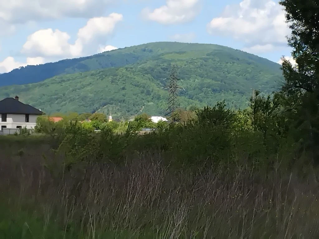 Ціну змінено. Продаю ділянку 1,5 га під комерцію Свалява Зак