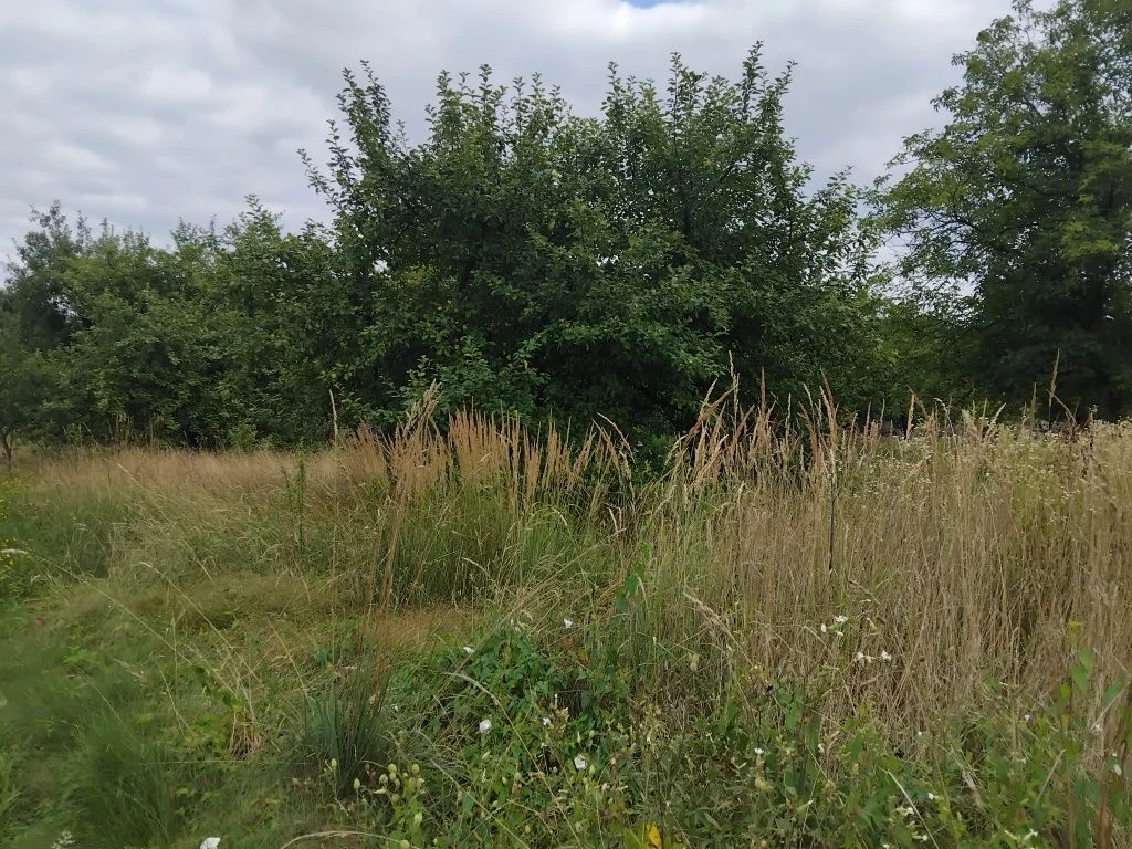Продаю земельну ділянку 21 сотку Свалява Закарпатської