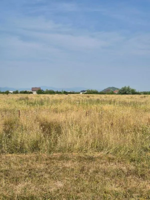 Продаж земельної ділянки в м. Тячів — 1 га під житлову забуд