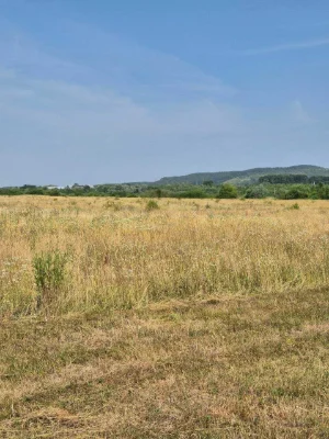 Продаж земельної ділянки в м. Тячів — 1 га під житлову забуд