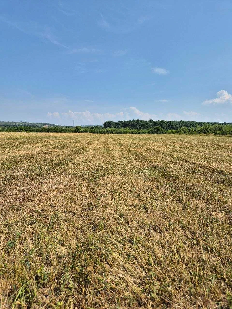Продаж земельної ділянки в м. Тячів — 1 га під житлову забуд