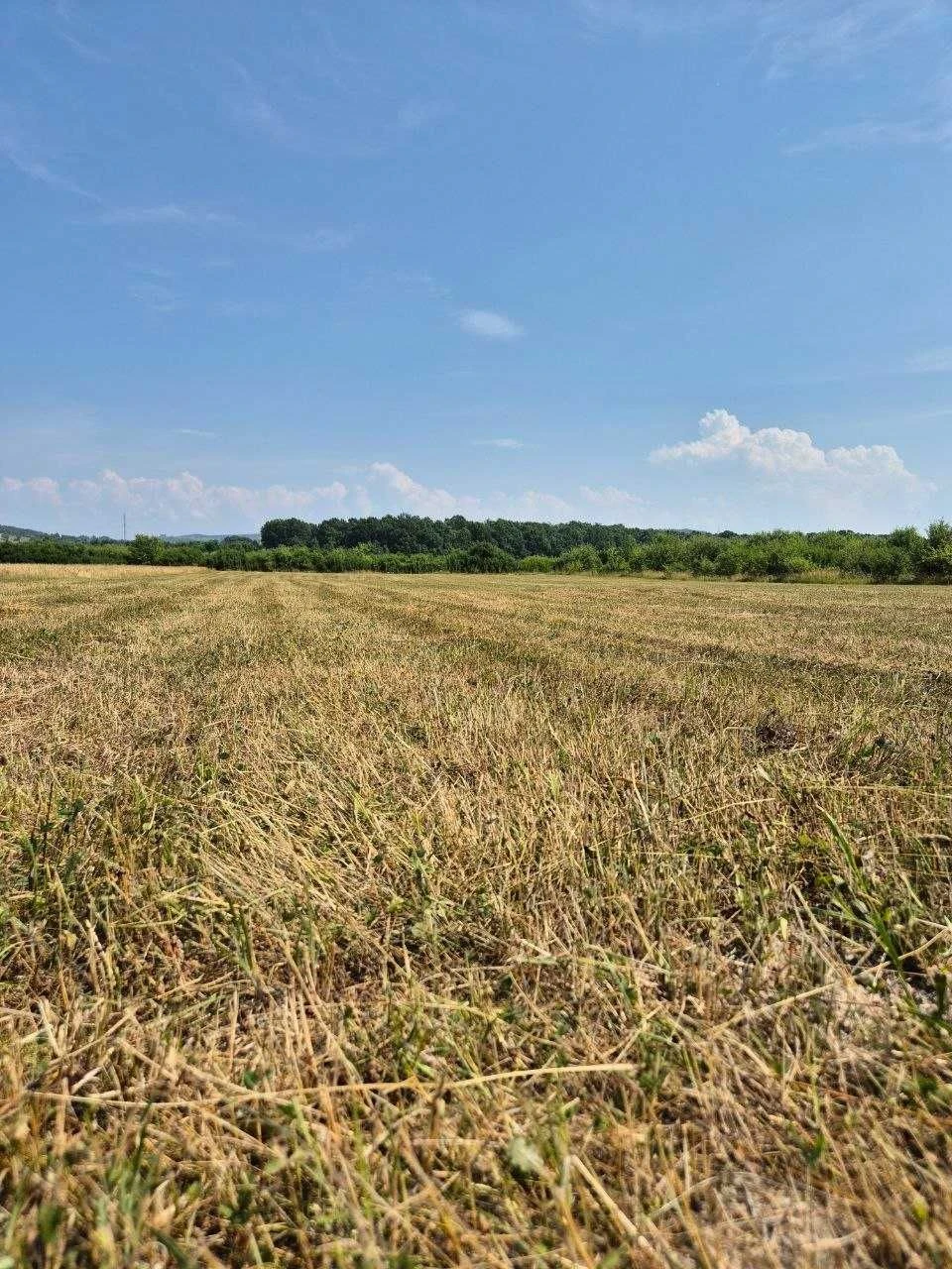 Продаж земельної ділянки в м. Тячів — 1 га під житлову забуд