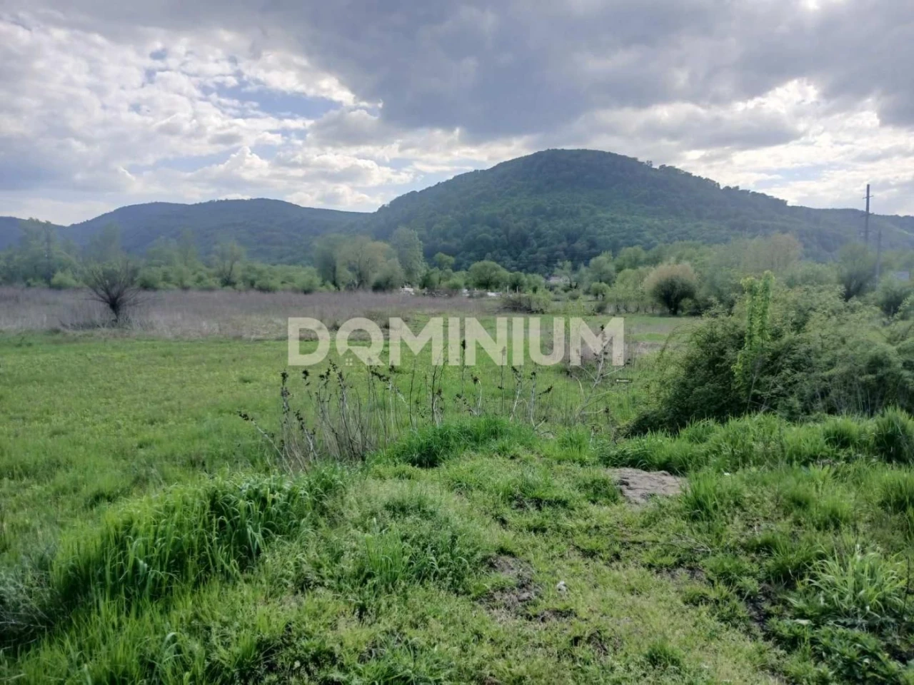 Продаж / Земля сільгосппризначення / Хуст
