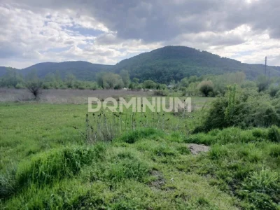 Продаж / Земля сільгосппризначення / Хуст