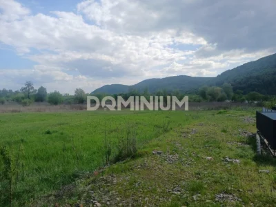 Продаж / Земля сільгосппризначення / Хуст
