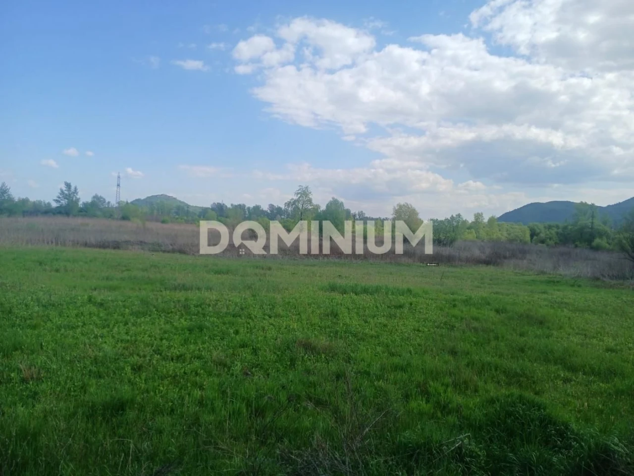 Продаж .Земля сільгосппризначення .Хуст