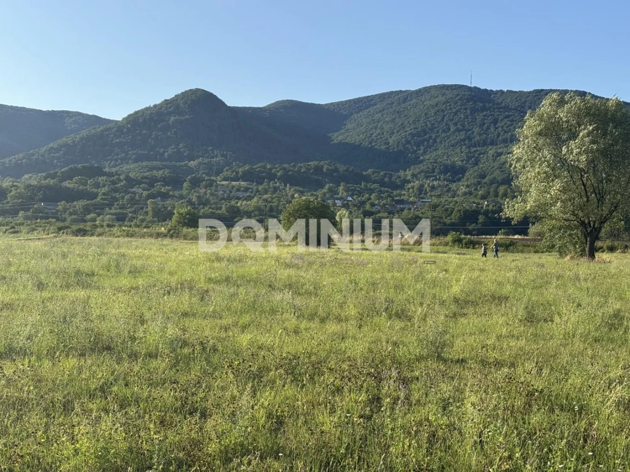 Продаж Земля Хуст Будівництво
