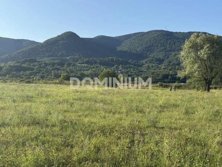 Продаж Земля Хуст Будівництво