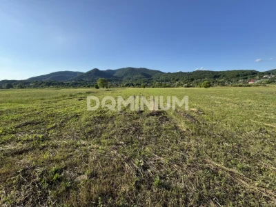 Продаж  . Земля під інд. будівництво .  Хуст