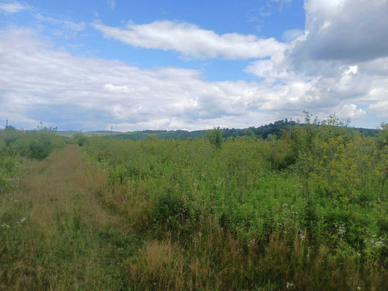 Продається земельна ділянка в місті Хуст