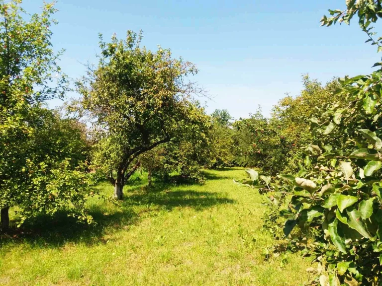 продам земельну ділянку 0,29 га в м. Болехів
