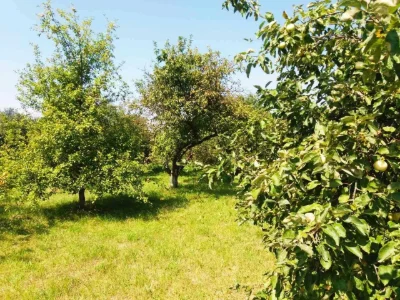 продам земельну ділянку 0,29 га в м. Болехів