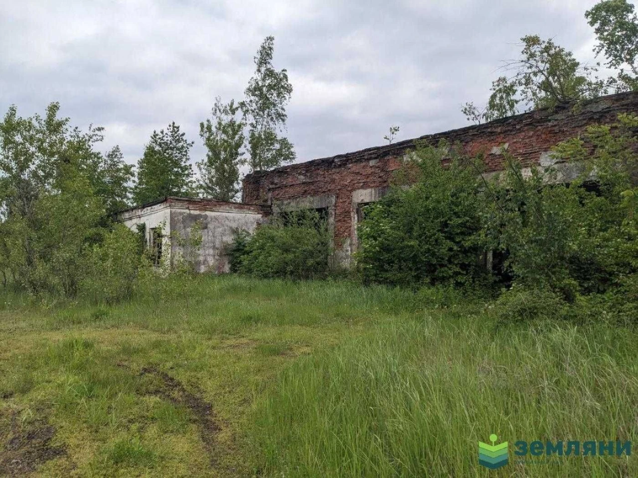 Промислове приміщення 2635 м2 та зем. ділянка 4 га (4)