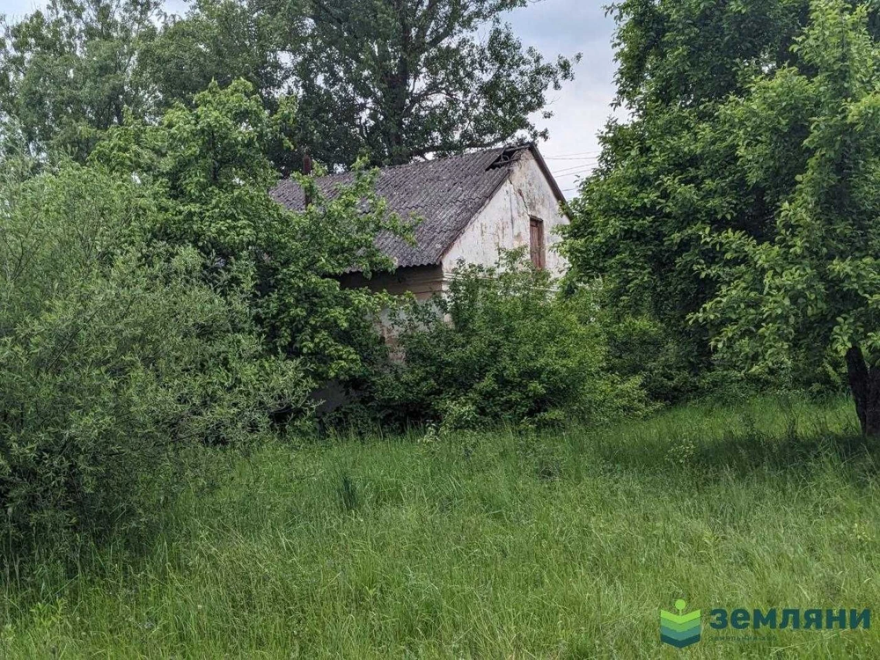 Промислове приміщення 2635 м2 та зем. ділянка 4 га (4)