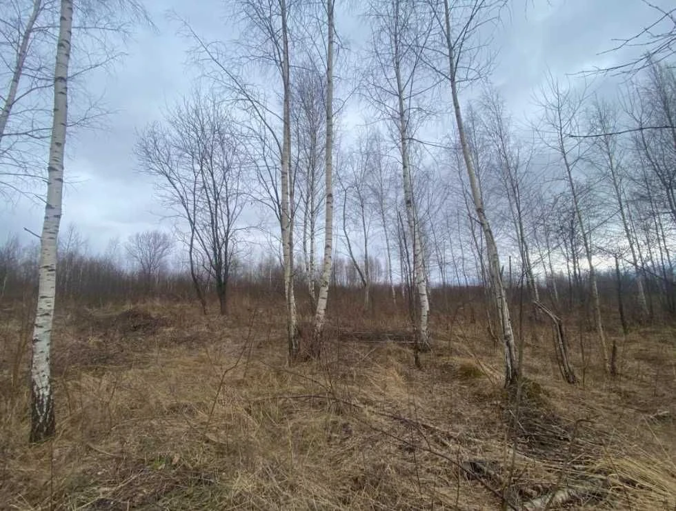 Продаж зем.ділянки 13,5 сот.у с.Мала Тур'я,Долинського р-ну_