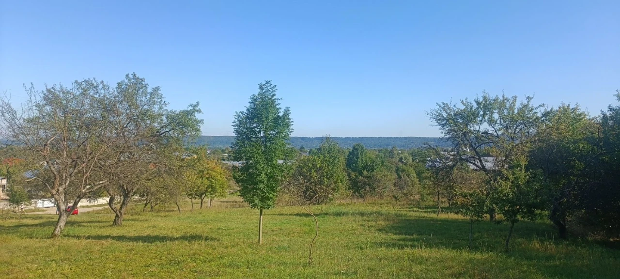 Продається земля с Ст.Кути Косівського р-ну,Івано-Франківськ