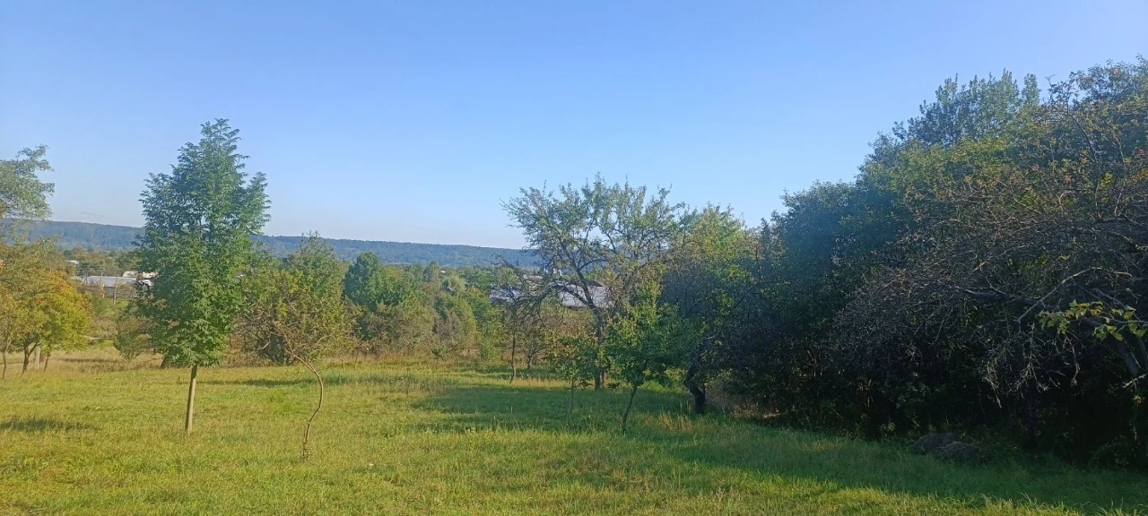 Продається земля с Ст.Кути Косівського р-ну,Івано-Франківськ