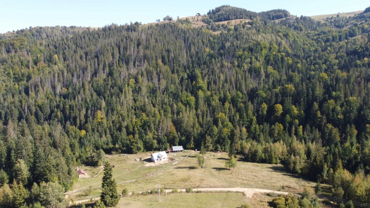 Продається ділянка 1 га. Косів. Краєвид. Гори. Карпати. Елек
