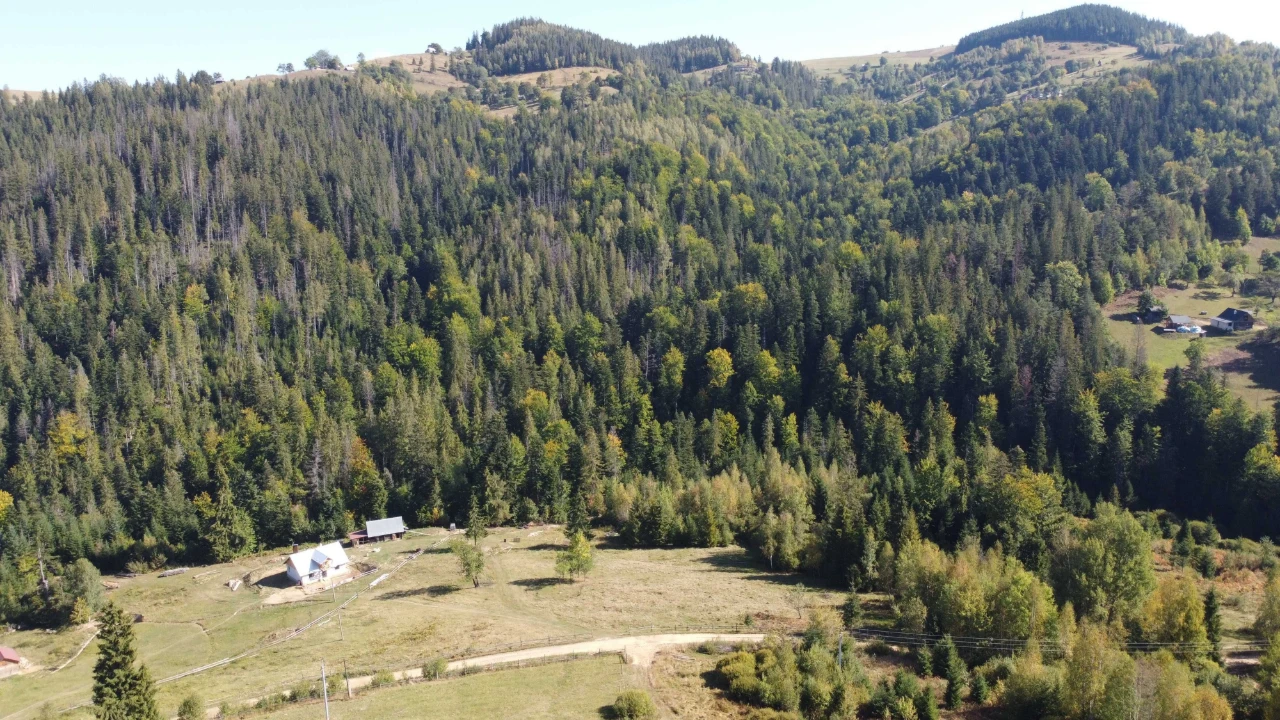 Продається ділянка 1 га. Косів. Краєвид. Гори. Карпати. Елек